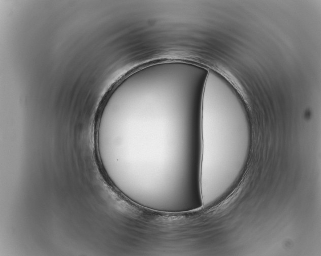 X0000091220939200708091134