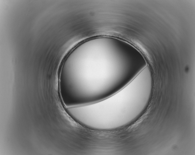 X0000091220940200708091134