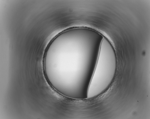 X0000091220943200708091134