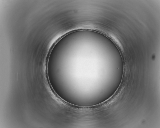 X0000091220944200708091134