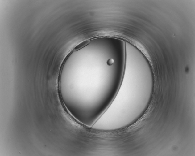 X0000091220946200708091134