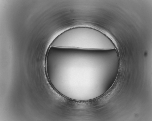 X0000091220951200708091134