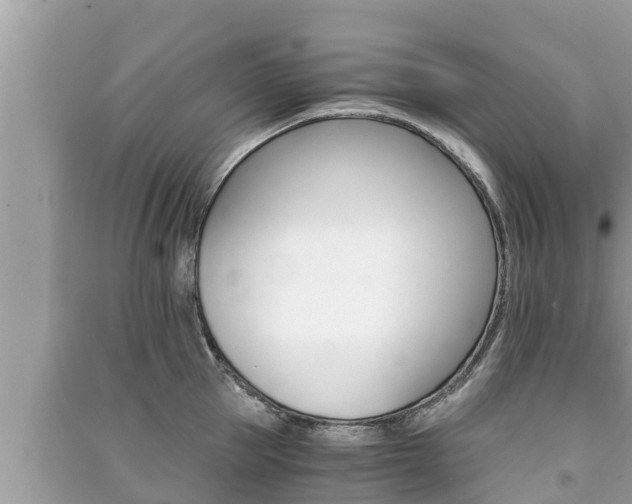 X0000091220953200708091134