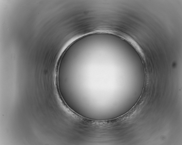 X0000091220955200708091134