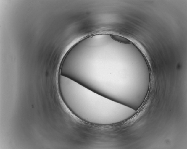 X0000091220957200708091134