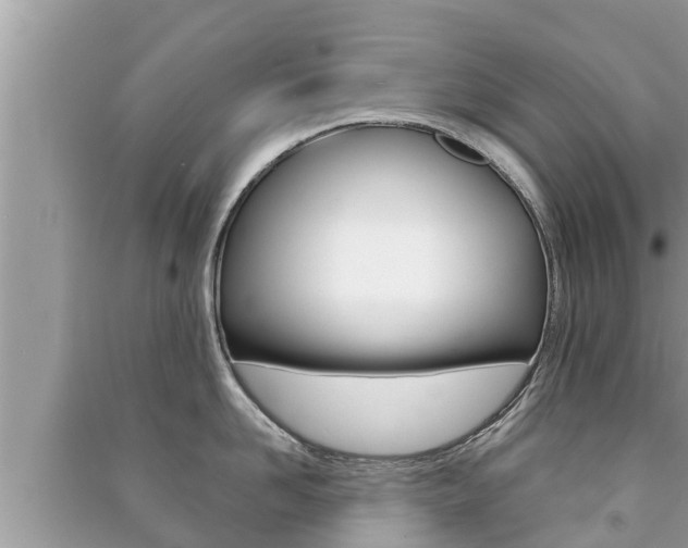 X0000091220958200708091134