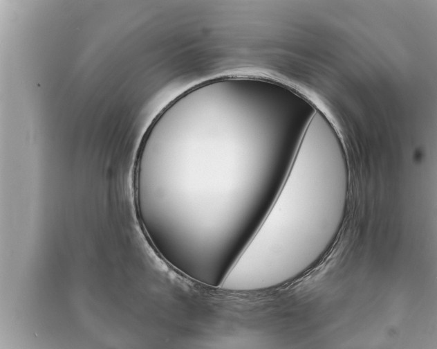 X0000091220959200708091134
