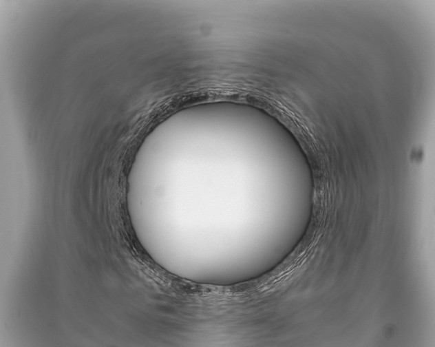 X0000091220961200708091134
