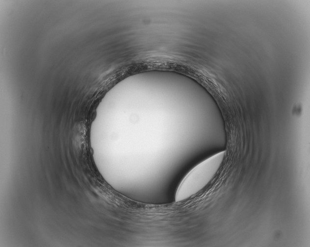 X0000091220964200708091134