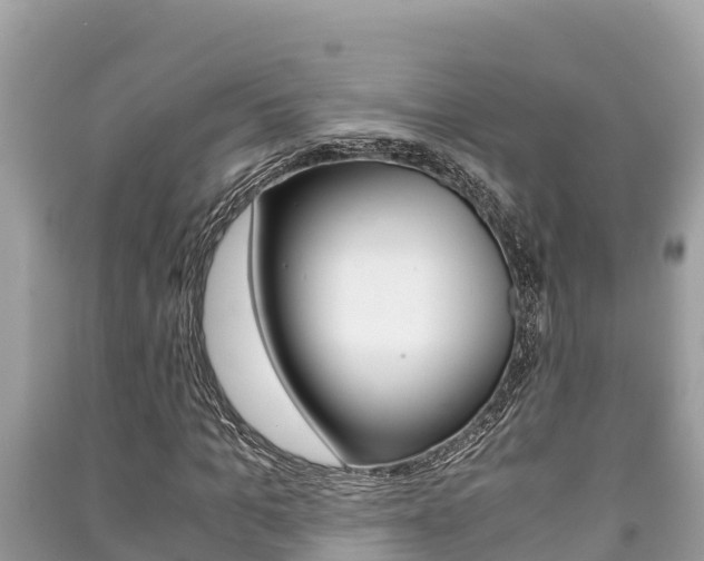 X0000091220965200708091134