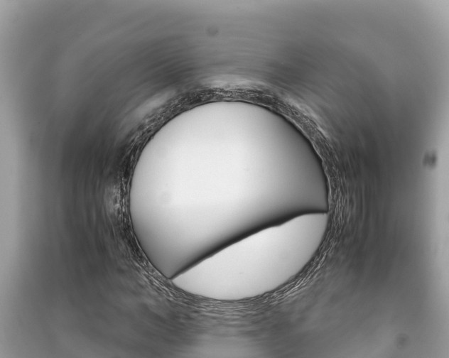 X0000091220966200708091134