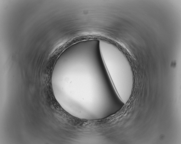 X0000091220967200708091133