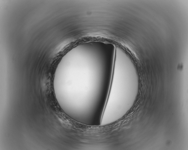 X0000091220968200708091133