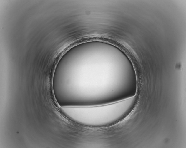 X0000091220969200708091133