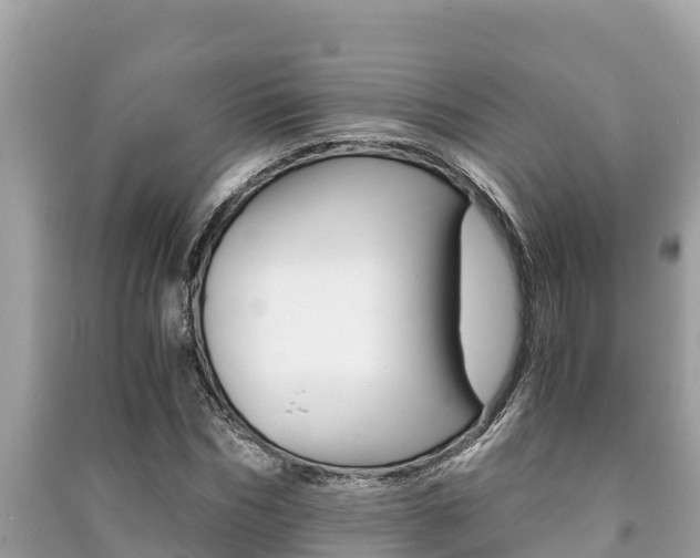 X0000091220970200708091133