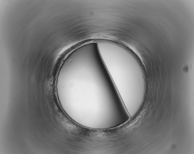 X0000091220971200708091133