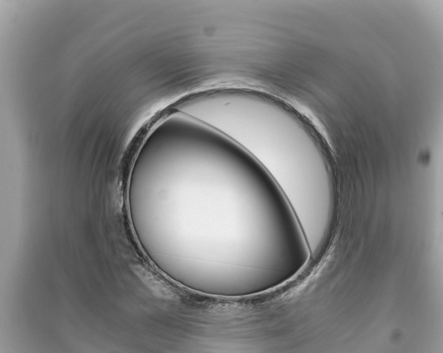 X0000091220973200708091133