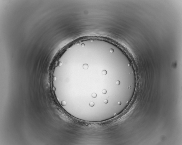 X0000091220974200708091133