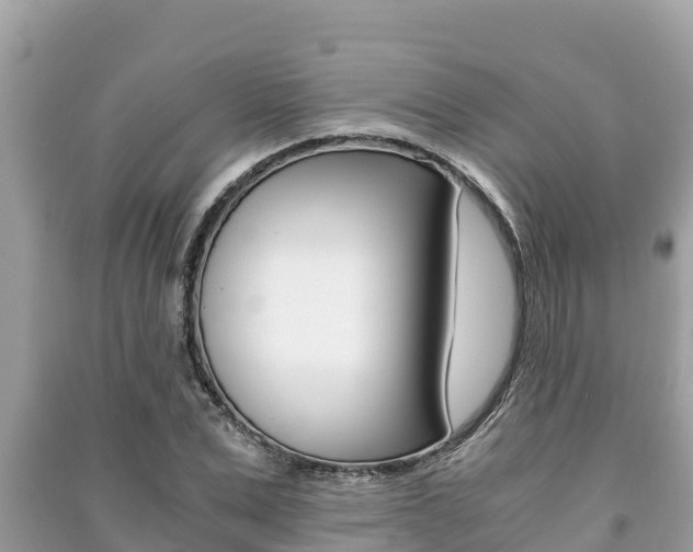 X0000091220975200708091133