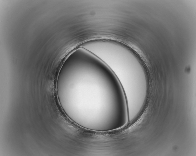 X0000091220977200708091133