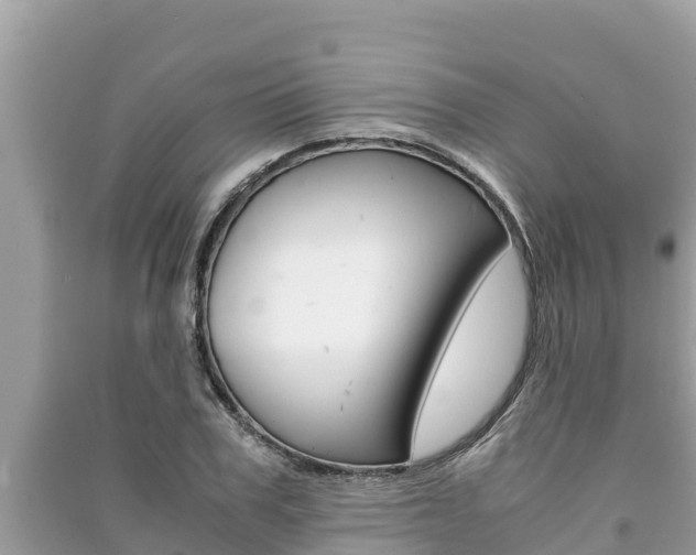 X0000091220979200708091133