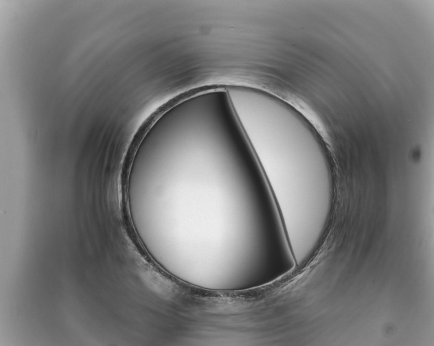 X0000091220980200708091133