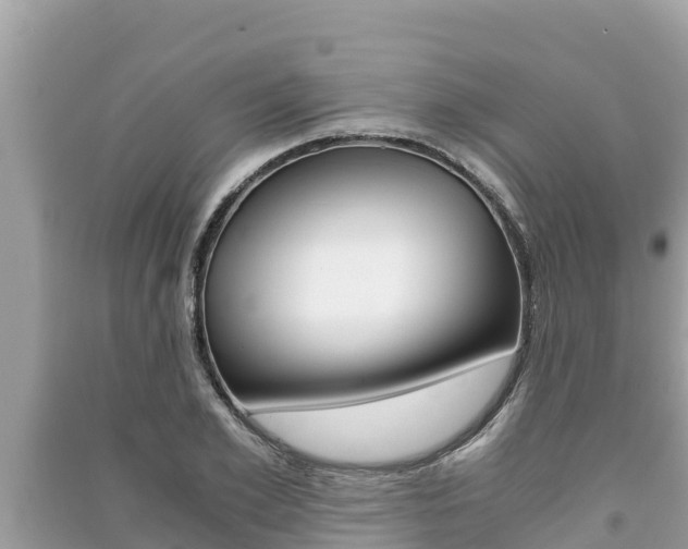 X0000091220981200708091133