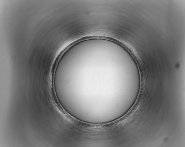 X0000091220982200708091133