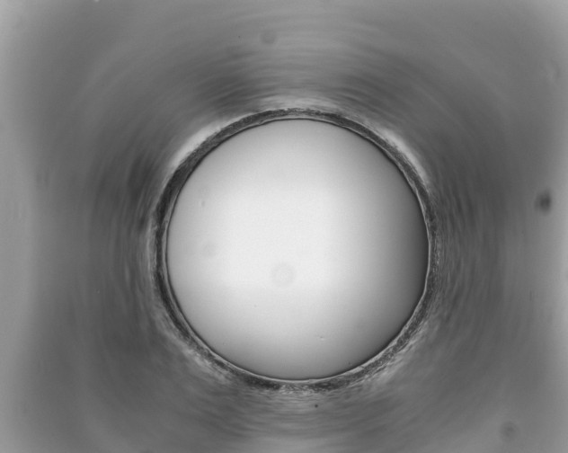 X0000091220983200708091133