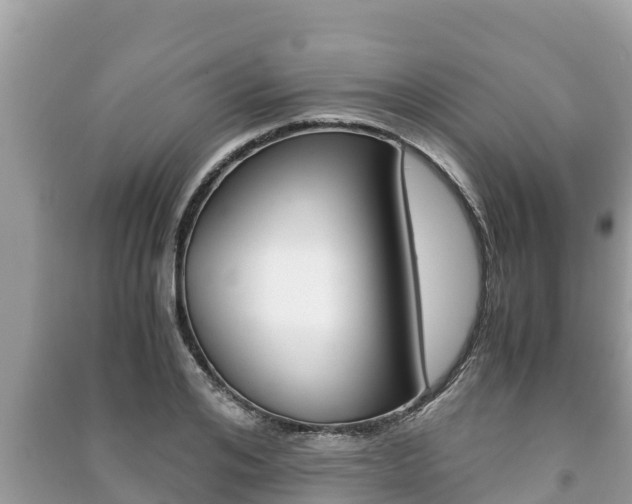 X0000091220984200708091133