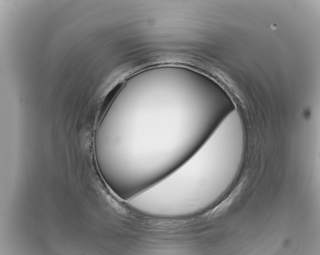 X0000091220985200708091133
