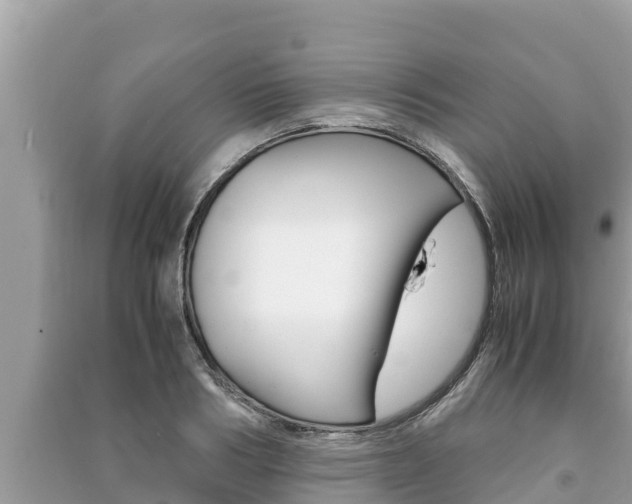 X0000091220986200708091133