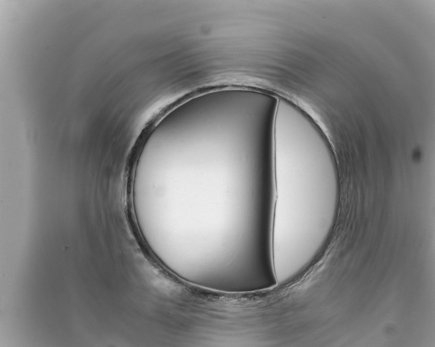 X0000091220987200708091133