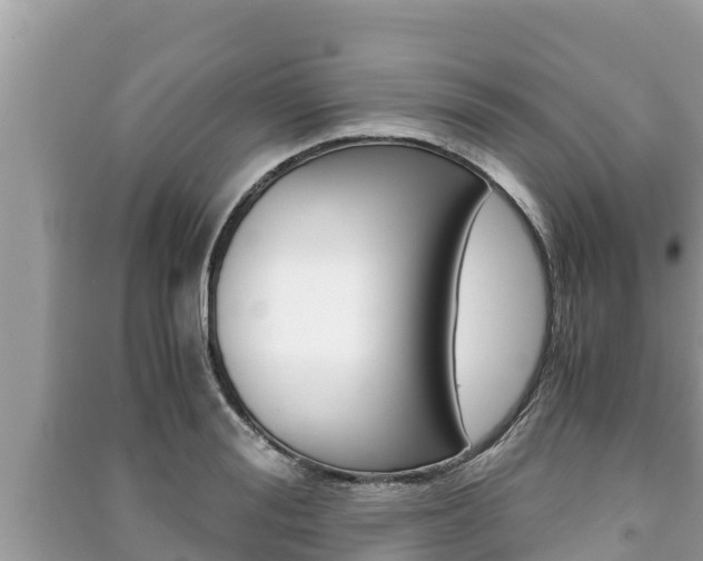X0000091220988200708091133
