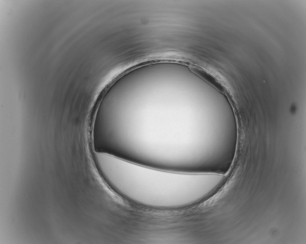X0000091220989200708091133