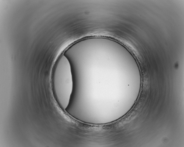 X0000091220990200708091133