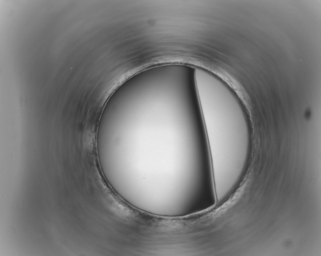 X0000091220993200708091133