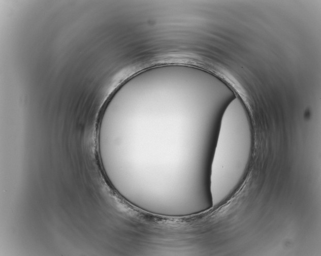 X0000091220994200708091133