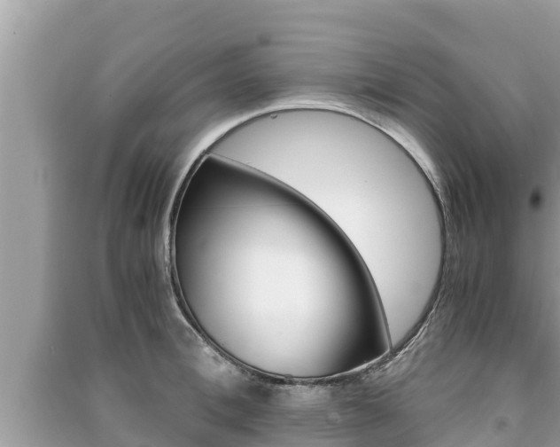 X0000091220996200708091133