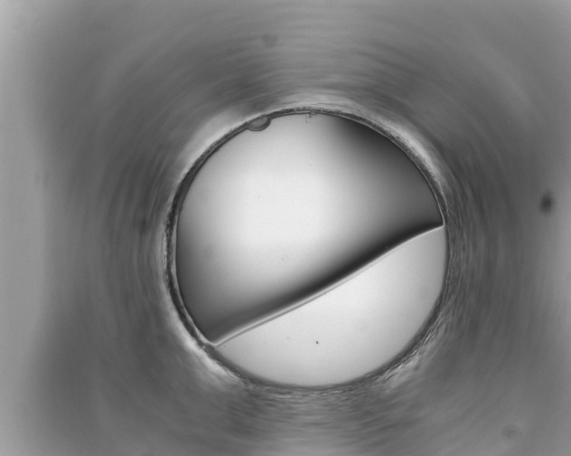 X0000091220999200708091133
