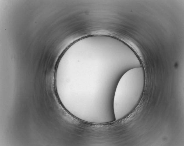 X0000091221000200708091133