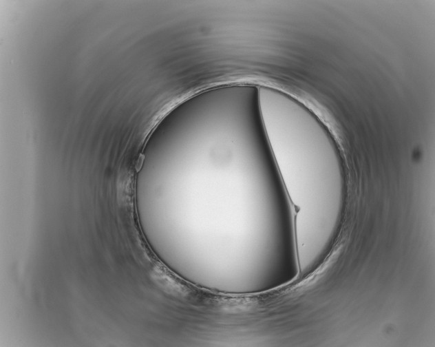 X0000091221001200708091133