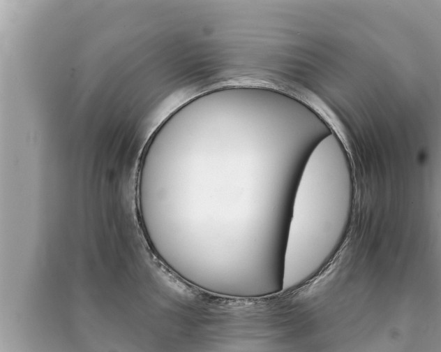 X0000091221002200708091133