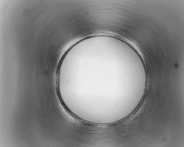 X0000091221003200708091133