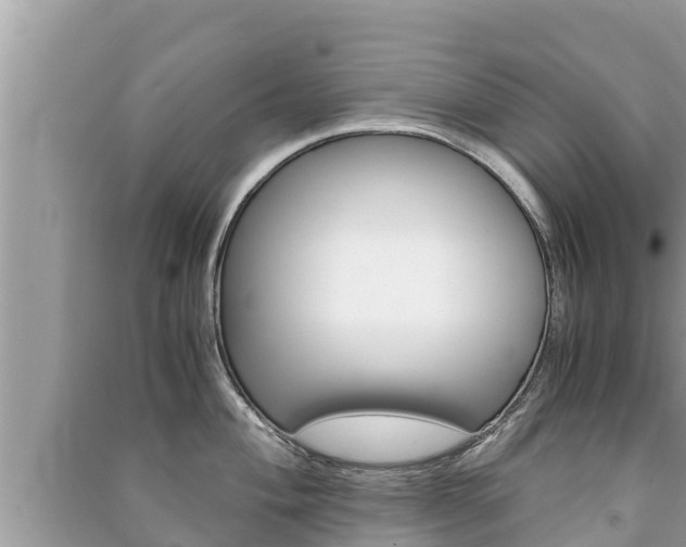 X0000091221004200708091133
