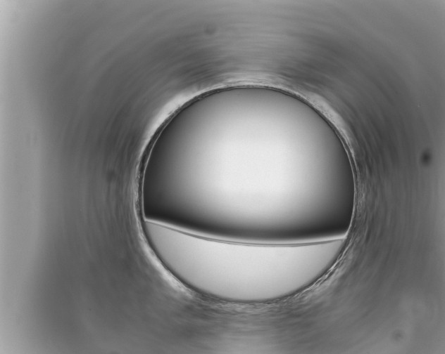 X0000091221005200708091133