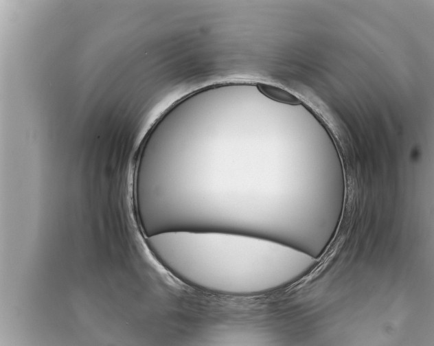 X0000091221006200708091133