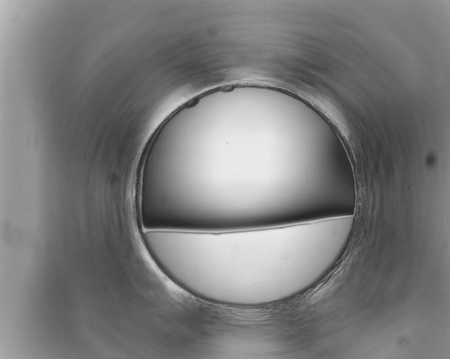 X0000091221007200708091133
