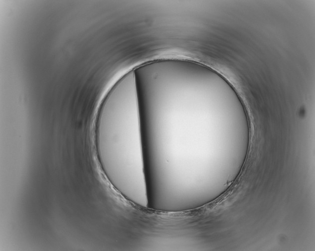 X0000091221008200708091133