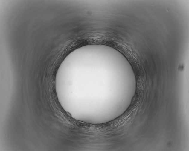 X0000091221009200708091132